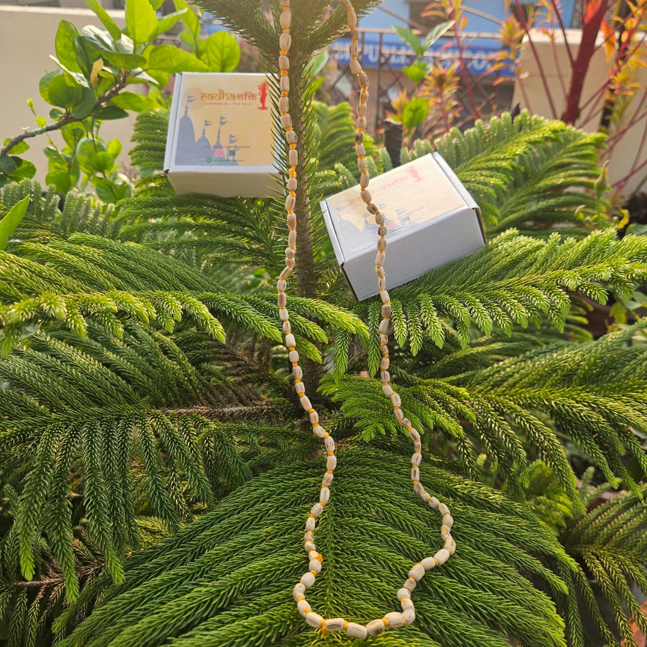 Hanuman Ji Kanthi with Tulsi Jap Mala (108 Beads)